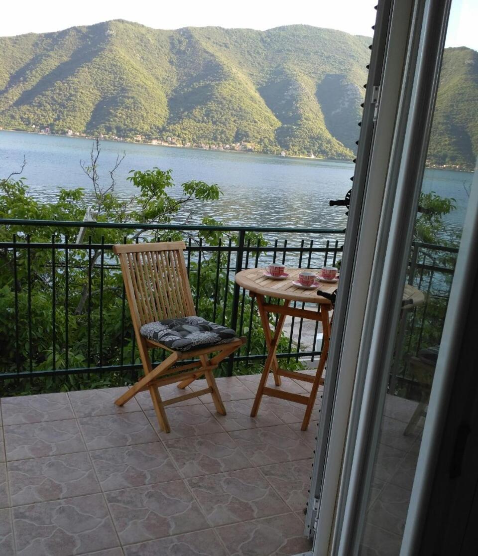 Apartmani Villa Radovic 里桑 外观 照片